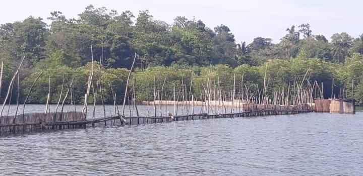 Rashmi Homestay Balapitiya Esterno foto